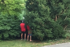 472a1def-a9f5-4d8d-a4dd-41184a297220